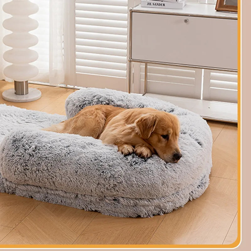 Paw Buddy Bed