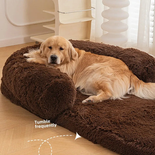 Paw Buddy  Bed